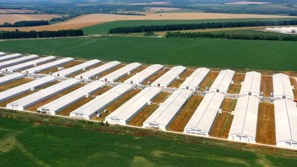 Aerial view of new modern poultry farms