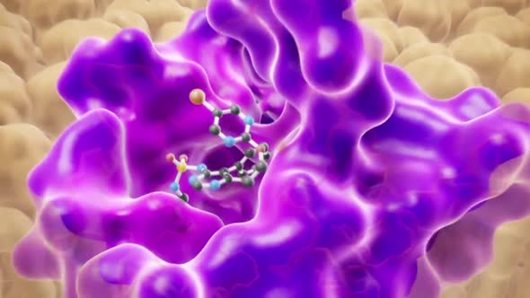 Protein insertion into endothelin-amino acid