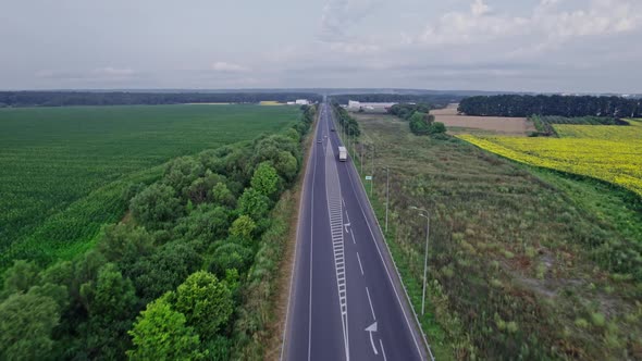 Car Driving Down an Asphalt Road Crossing the Vast Forest