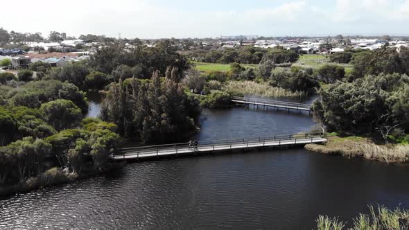 Aerial View of a Swamp