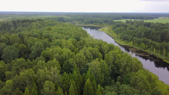 Small Lake In The Forest 05