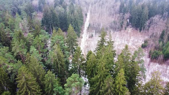 Flying over snow-covered winter forest in early winter. Aerial drone nature shot. Frozen path. Drone