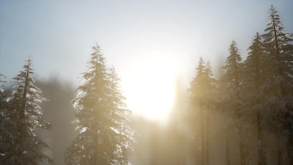 Dramatic Winter Sunrise in the Mountains