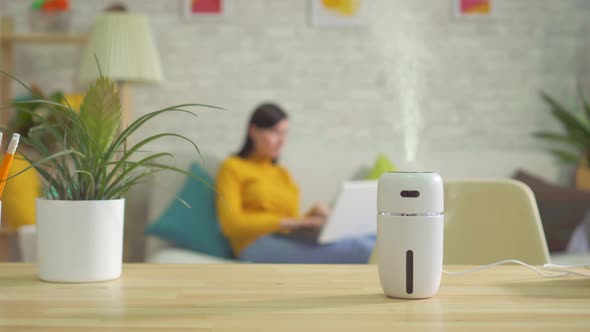 Person Working Behind a Laptop on the Background of a Working Humidifier