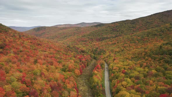 Cars Driving By Mountain Road in Dense Greenwood Scenic Aerial of Fall Forest