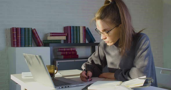 Young Caucasian Woman in Glasses Works in Front of a Laptop Monitor