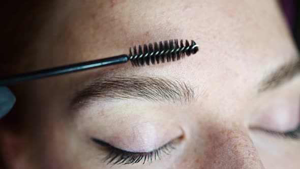 Close Up View of Eyebrows After Procedure Permanent Makeup in Salon