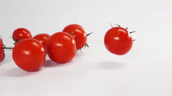 Fresh Red Tomatoes Falling and Bouncing on White Background.