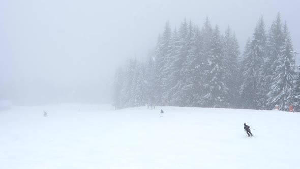 People skiing during snowfall. Static, slomo