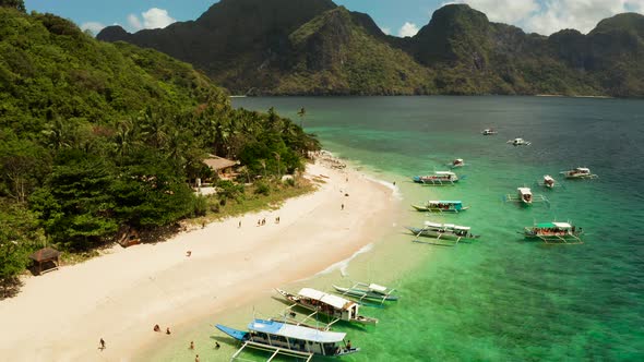 Tropical Island with Sandy Beach