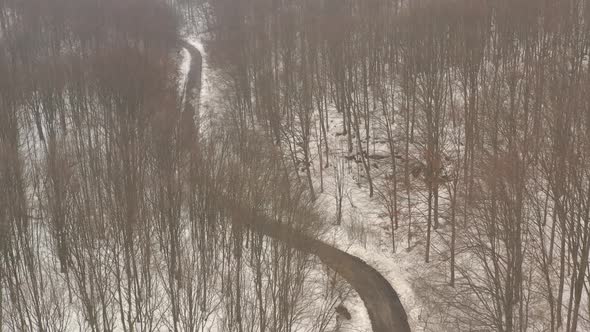 Lonely road in the woods by February 4K drone footage