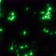Pixel Network Loop Green - VideoHive Item for Sale