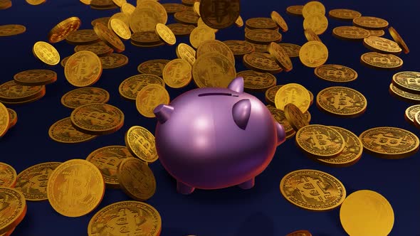 Saving Bitcoins in the Pig Piggy Bank