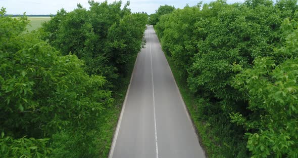 4K aerial shot. Flying over empty asphalt road. Close to the trees.