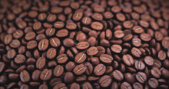 Roasted Coffee Beans