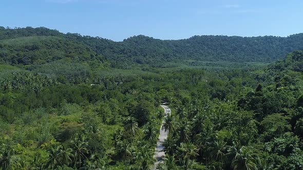 Aerial of an empty road surrounded by Palm Trees at Koh Kood Island, Thailand.