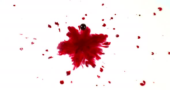 Blood Dripping against White Background, Slow Motion 4K