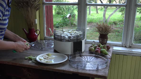 Female Hand Cut Fresh Pear for Dryer in Rural Kitchen Indoor