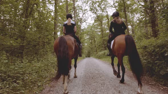 Two Equestrians Mounted in Horses in the Middle of the Forest Slow Motion