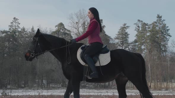 Young Brunette Woman Rides a Beautiful Black Horse on a Field or Snowcovered Farm in Winter