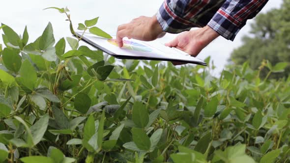 A young farmer working in a soybean field is looking at a profit growth chart in agribusiness.