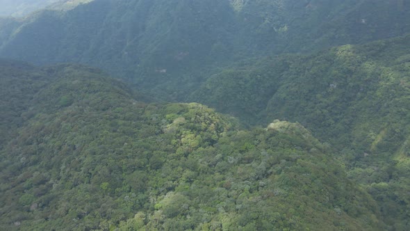 Back Flying Above Lush Green Canyon Jungle
