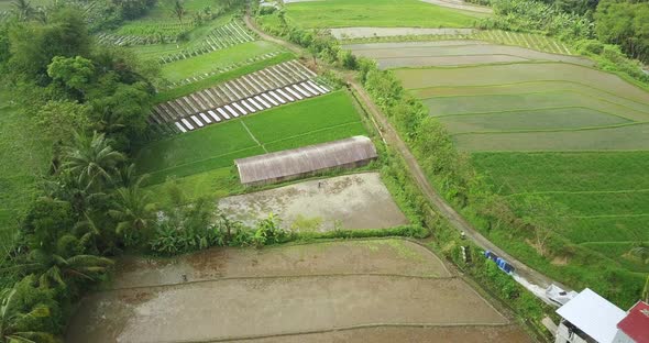 Aerial birds eye shot of tropical flooded rice paddies and farmers planting rice in Indonesia