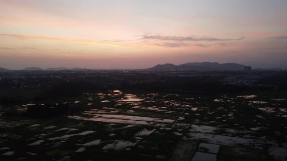 Dramatic sunset paddy field