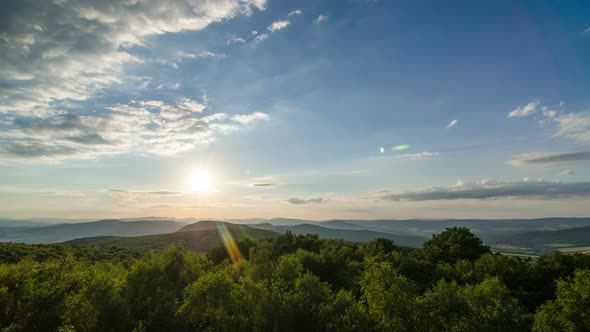 Sunset Over Forest Landscape with Clouds and Trees Moving in Wind