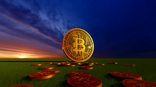 3D Bitcoin Gold Generic Animation