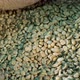 Green unroasted coffee beans in canvas sack (panning shot) - VideoHive Item for Sale