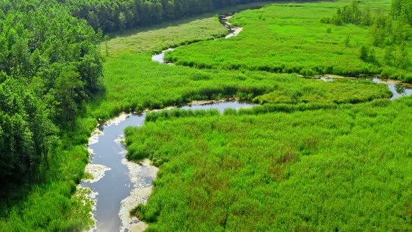 Small river and green swamps in Poland, aerial view