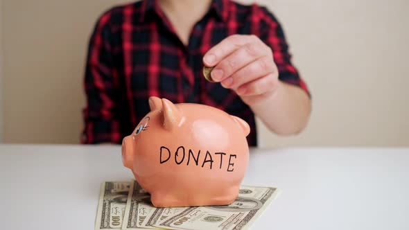 Piggy Bank with Donate Inscription Stands on Dollar Bills