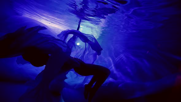 Beautiful Female Silhouette in Dark Water Inside Pool or Aquarium Sexy Lady is Swimming