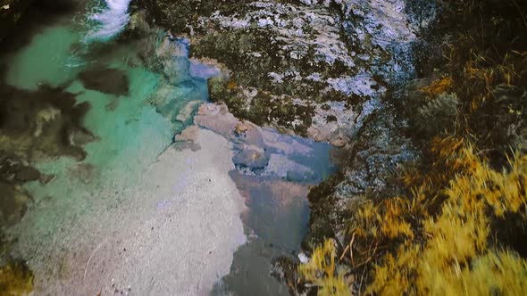 Aerial drone flight through otschergraben in autumn