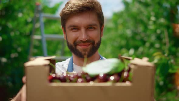 Happy Farmer Looking Camera with Cherry Fruit Basket in Summer Garden Plantation