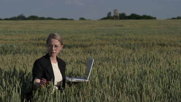 employee of an agricultural firm with a laptop checks the quality of wheat in the field