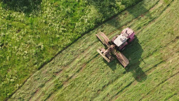 Selfpropelled Car Mower Goes Through the Meadow Haymaking in the Evening