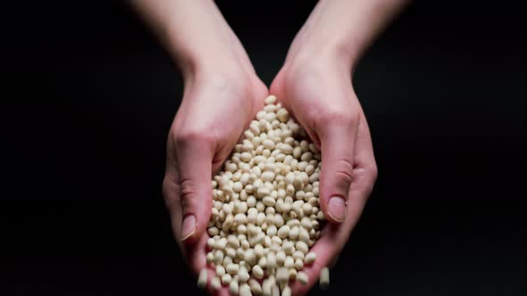 Falling Soya From Hands on Black Background