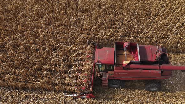 Combine Harvesting Corn Aerial Top View