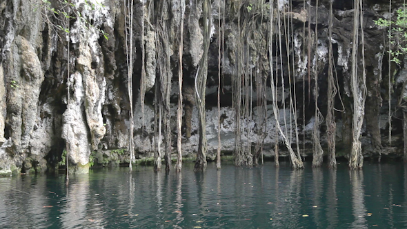 Cenote Sinkhole Mexico Wonder Clear Water 2