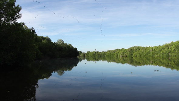 Lagoon Natural Park Bird Reserve Mexico 6