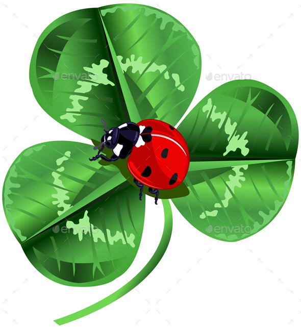 St. Patrick Day Three Leafed Clover and Ladybug