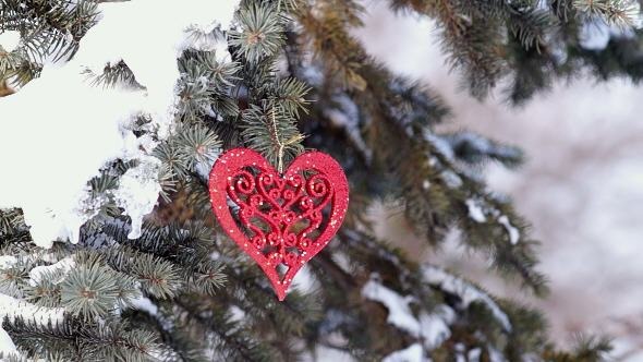 Spruce Branch with Snow and Heart