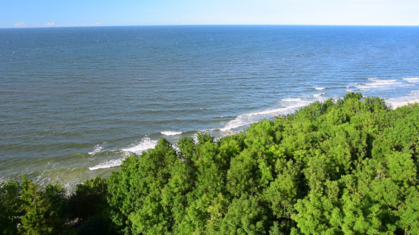 Tree & Sea, Landscape