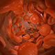 Red Blood Cells in Blood Vessel - VideoHive Item for Sale