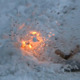 Firecracker Exploding In Snow - VideoHive Item for Sale