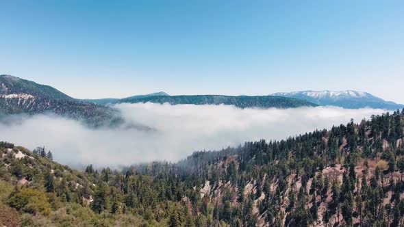 Drone shoots a video over a hilly forest valley covered by white clouds in California, USA