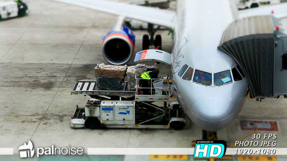 Loading Airplane Luggage Airport