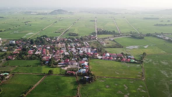 Aerial green paddy fields and Malays village in morning